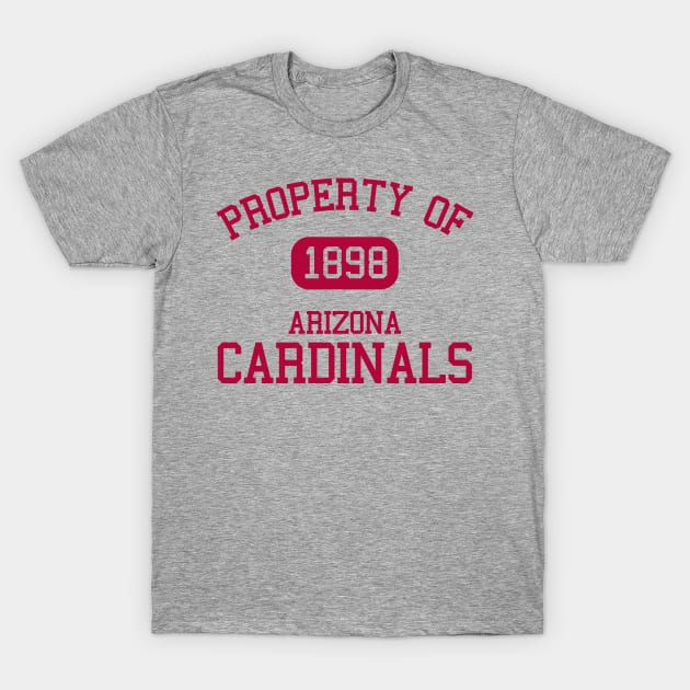 Property of Arizona Cardinals T-Shirt by Funnyteesforme